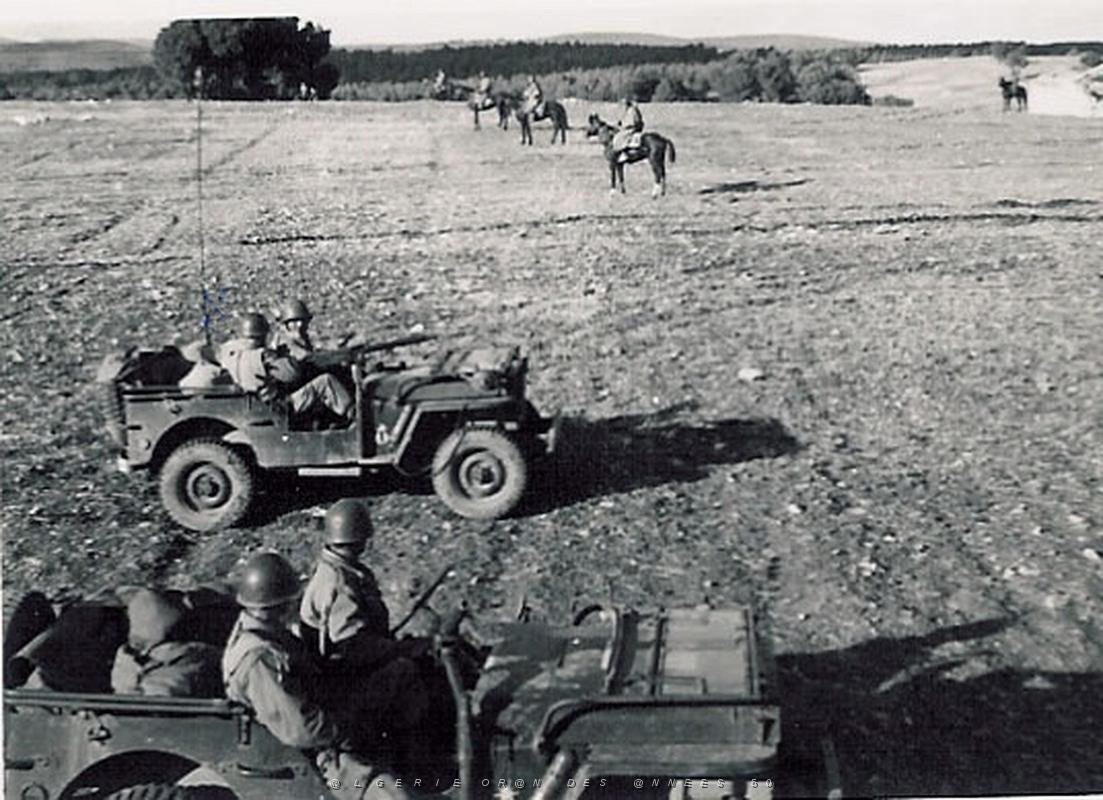 Hussards- HARKA 5.jpg